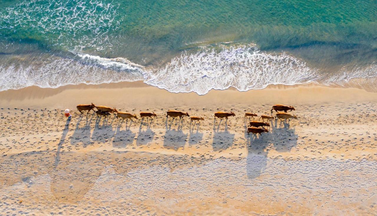 Naman Retreat Ξενοδοχείο Ντα Νανγκ Εξωτερικό φωτογραφία